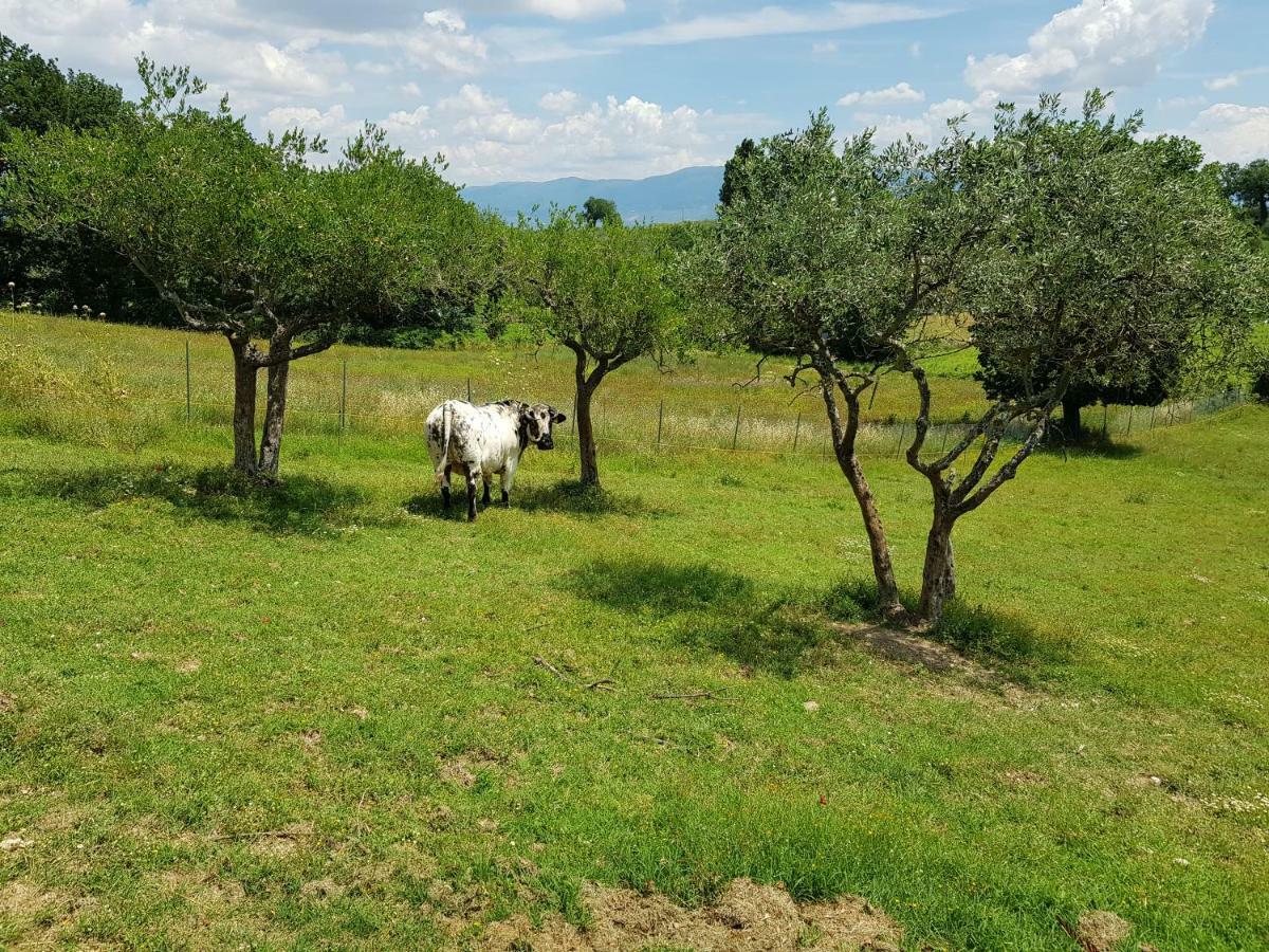 Agriturismo Arcobaleno Della Torretta Giano dell'Umbria Bagian luar foto